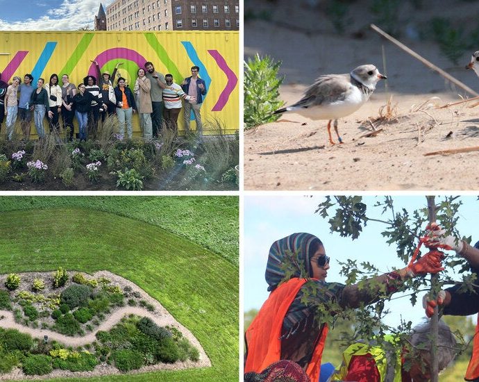 readers-share-eco-friendly-projects-happening-in-their-communities