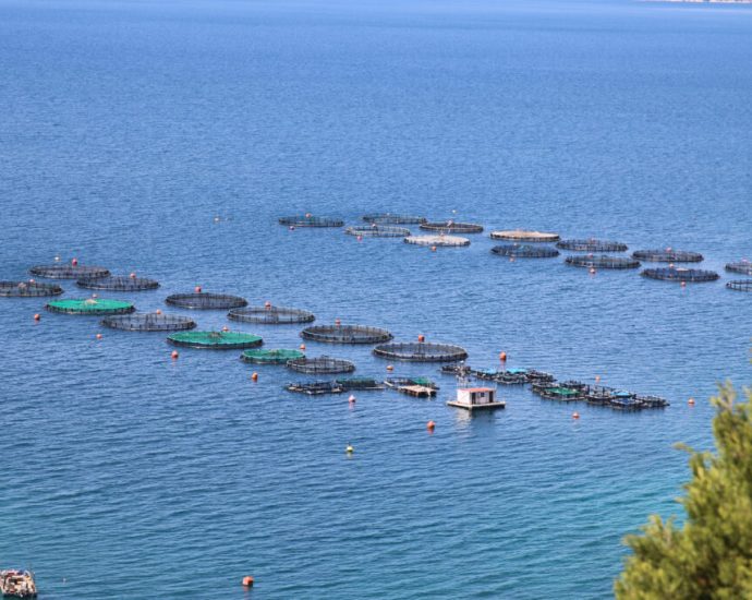 greece’s-seafood-problem-starts-elsewhere