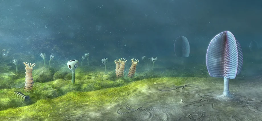 animals-may-have-evolved-200-million-years-earlier-than-we-thought