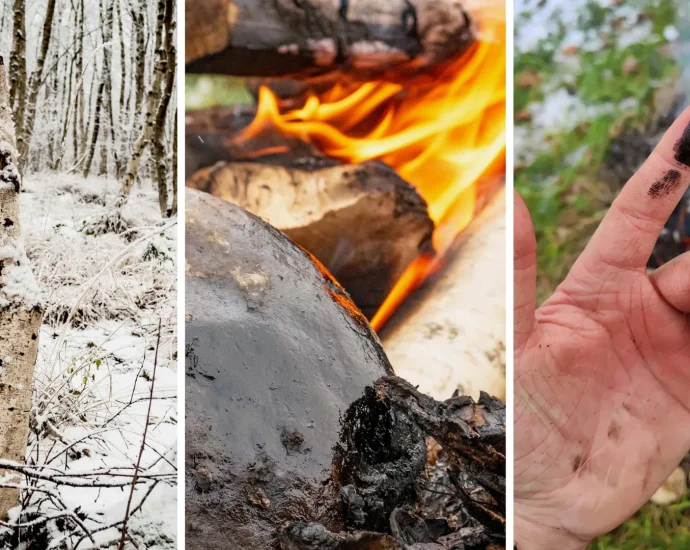 neanderthals-may-have-used-prehistoric-glue-as-an-ancient-antibiotic