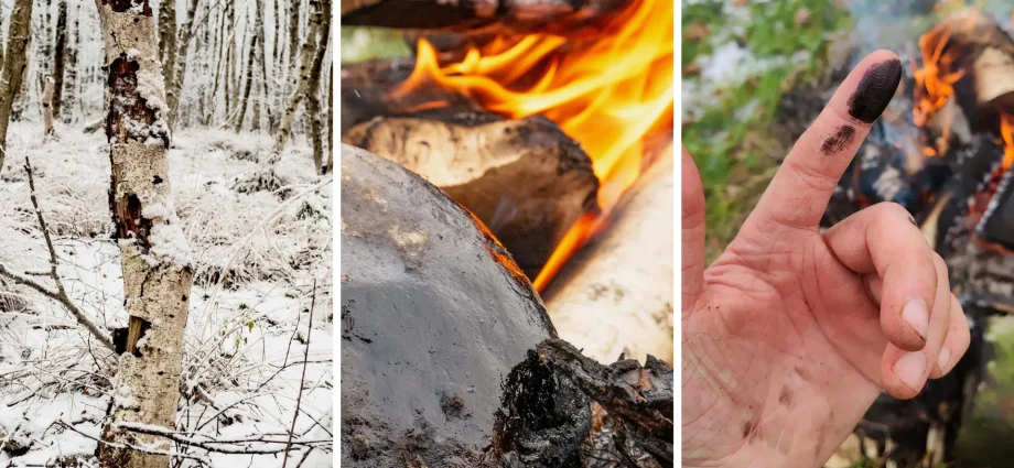 neanderthals-may-have-used-prehistoric-glue-as-an-ancient-antibiotic