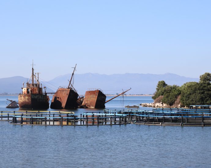the-greek-national-park-suffocated-by-fish-farming