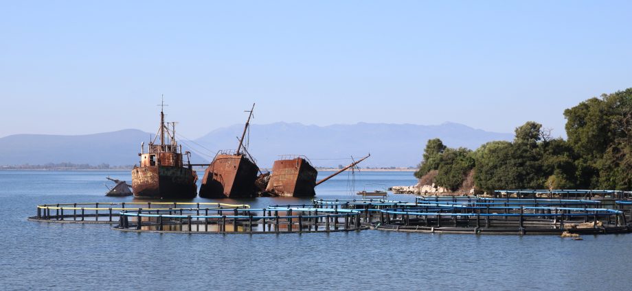 the-greek-national-park-suffocated-by-fish-farming