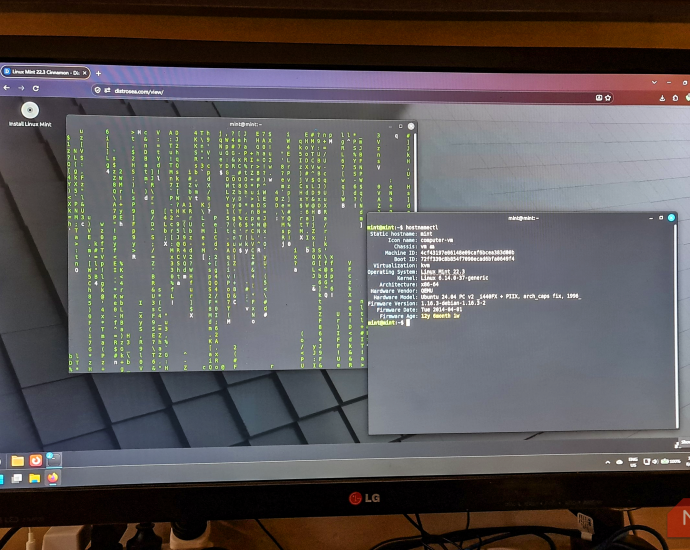I tried a dozen Linux distros in my browser without installing a single one
