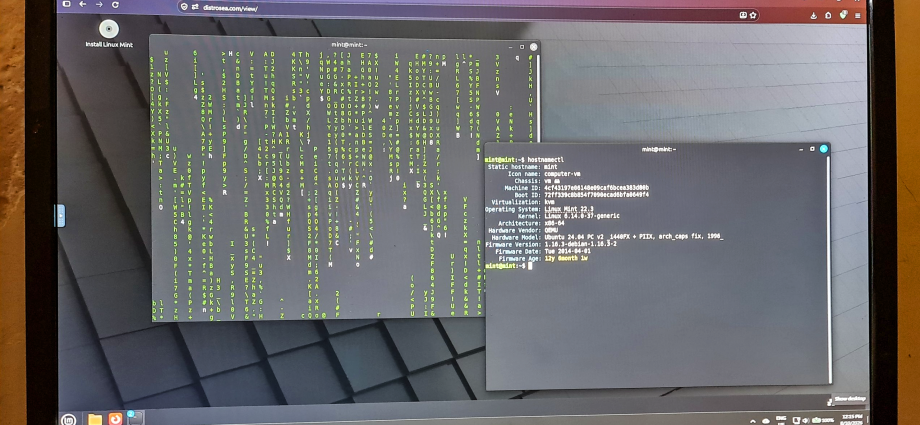 I tried a dozen Linux distros in my browser without installing a single one