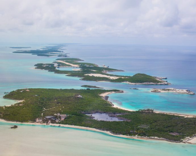as-rival-resorts-battle-in-a-bahamas-court,-a-threatened-conch’s-nursery-is-caught-in-the-middle