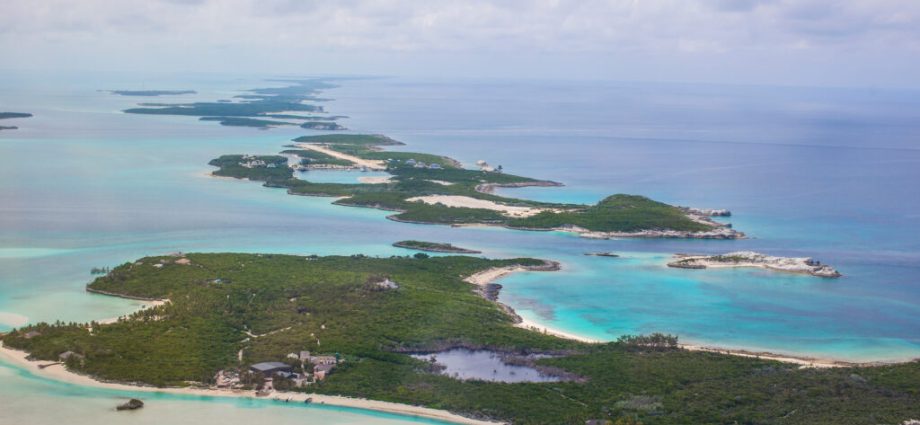 as-rival-resorts-battle-in-a-bahamas-court,-a-threatened-conch’s-nursery-is-caught-in-the-middle