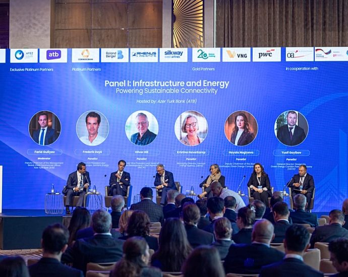 german-firms-outline-new-infrastructure-and-green-energy-plans-in-baku