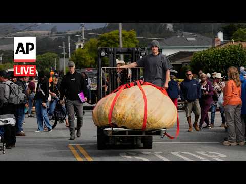 live:-giant-pumpkins-compete-at-annual-northern-california-weigh-off