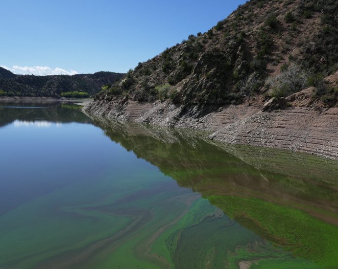 watersheds-near-rio-frijoles-bear-the-brunt-of-wildfire