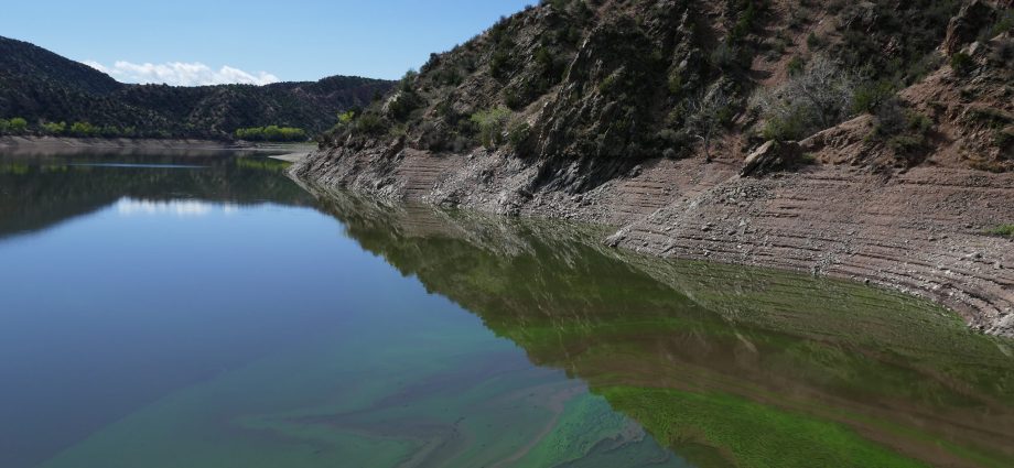 watersheds-near-rio-frijoles-bear-the-brunt-of-wildfire