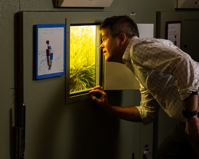 exploring-how-plants-thrive-in-a-changing-environment