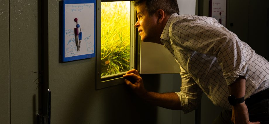 exploring-how-plants-thrive-in-a-changing-environment