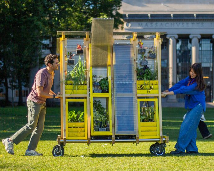 mit-farm-is-growing