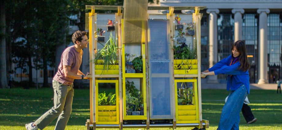 mit-farm-is-growing