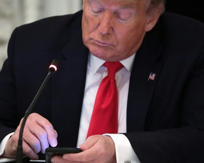 why-is-the-traitor-sharing-so-many-videos-of-animals-maiming-humans?