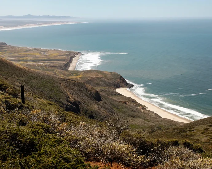 A once-in-a-generation opportunity for California’s ocean