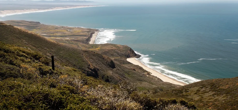 A once-in-a-generation opportunity for California’s ocean