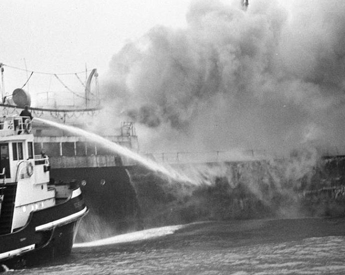 the-fire-retardant-in-the-seafood-chain