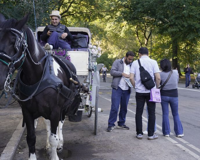 new-york-city-council-to-vote-on-banning-horse-drawn-carriages