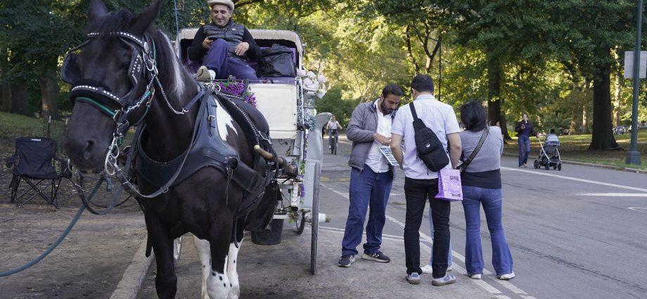 new-york-city-council-to-vote-on-banning-horse-drawn-carriages