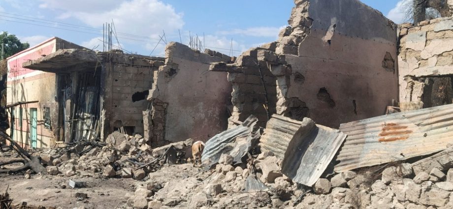 ethiopian-forces-expand-control-in-tigray-as-militia-claims-eritrean-losses