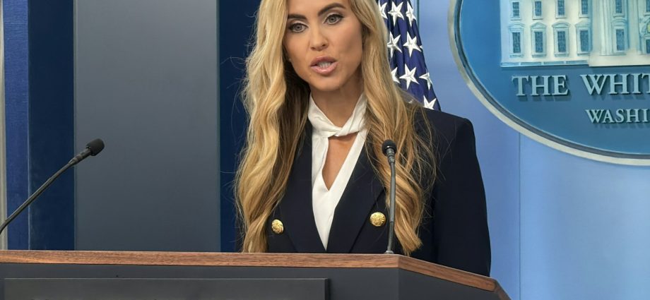 the-traitor’s-new-press-secretary-straight-up-admits-she’s-not-a-lawyer