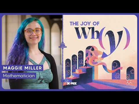 what-does-the-fourth-dimension-actually-look-like?-|-podcast:-the-joy-of-why