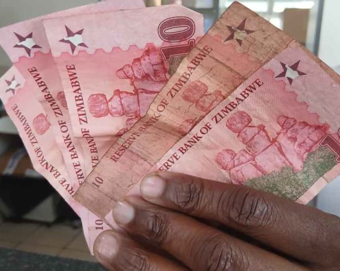 can-zimbabwe’s-zig-win-trust-and-replace-the-us-dollar?