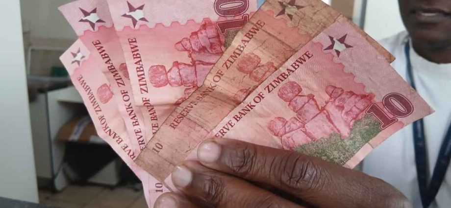 can-zimbabwe’s-zig-win-trust-and-replace-the-us-dollar?