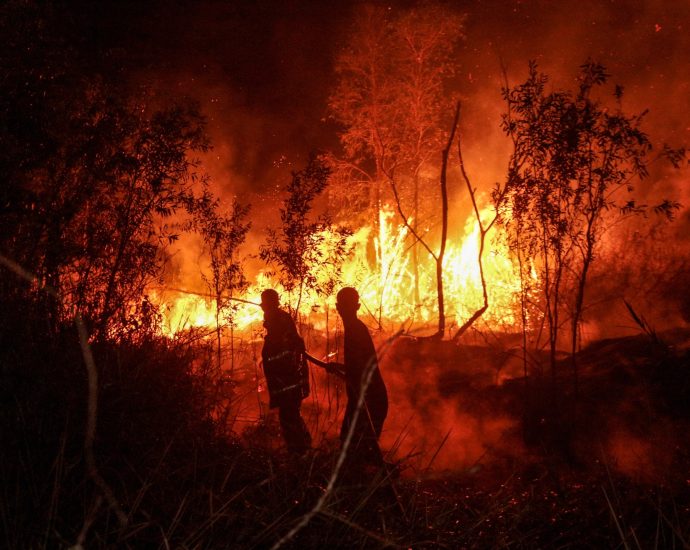 four-killed-as-indonesia-battles-worst-forest-fires-in-more-than-a-decade