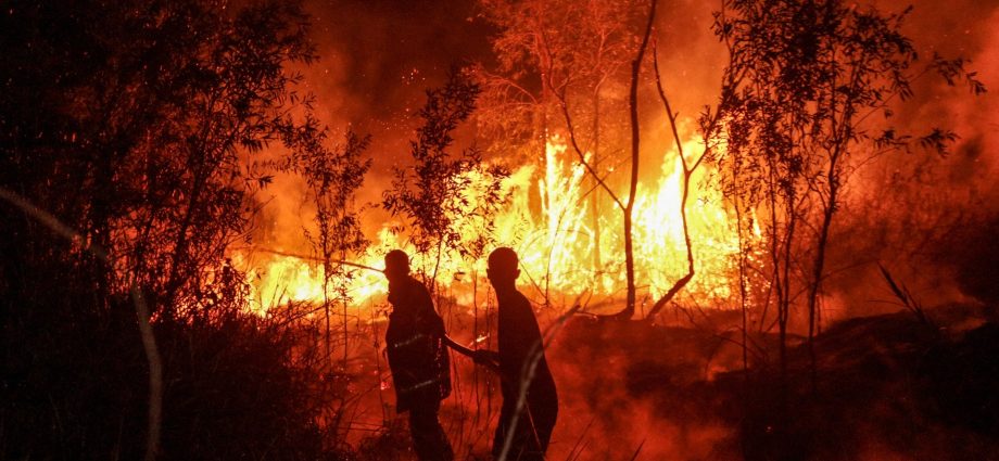 four-killed-as-indonesia-battles-worst-forest-fires-in-more-than-a-decade