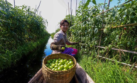 the-world-is-waging-a-‘war-on-nature’-as-progress-on-biodiversity-targets-lags