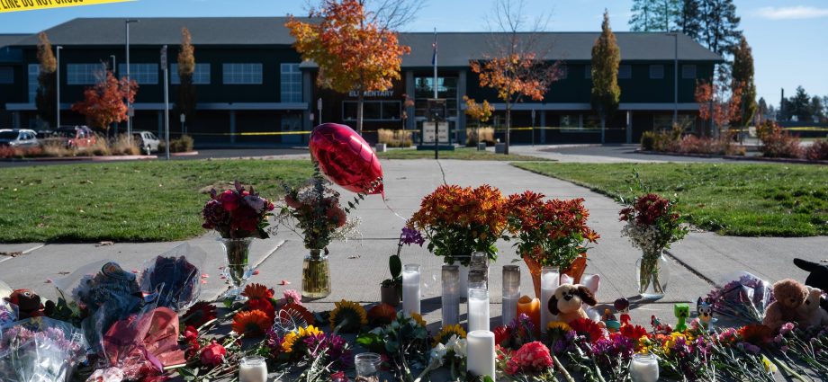 16-year-old-who-killed-3-children,-1-teacher-in-oregon-elementary-school-used-to-be-a-student-there:-police