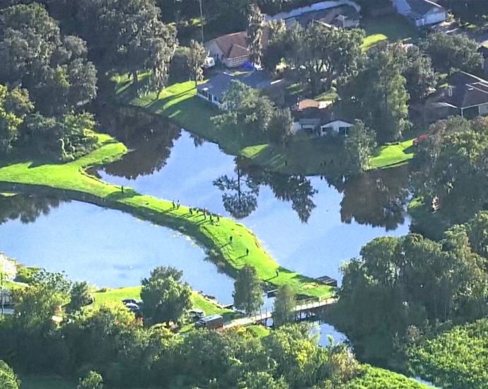 71-year-old-man-dies-after-alligator-attack-while-fishing-in-florida,-police-say