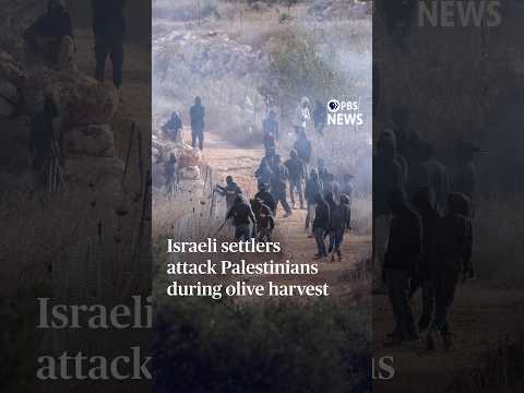 israeli-settlers-attack-palestinians-during-olive-harvest