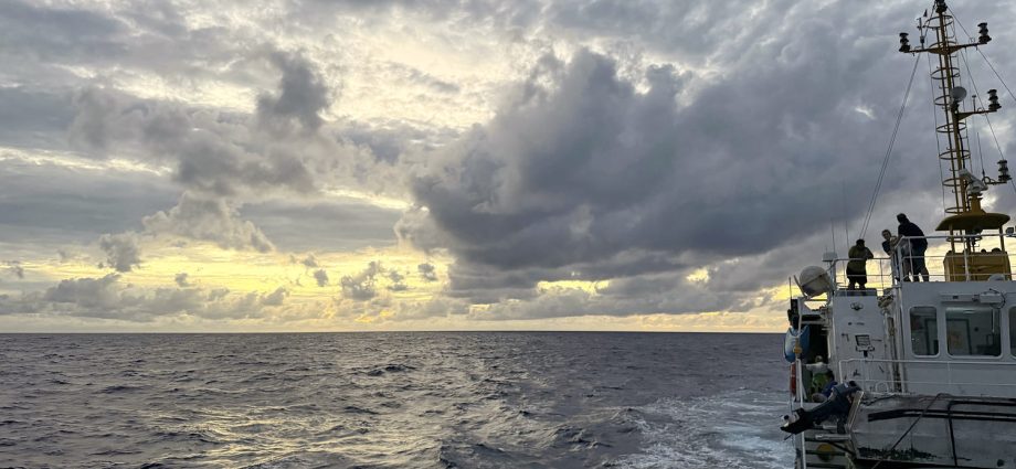‘no-conclusive-evidence’-of-amelia-earhart’s-missing-plane-found-in-south-pacific-expedition