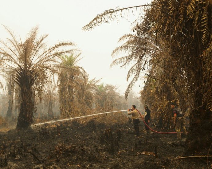indonesia-battles-worst-forest-fires-and-toxic-haze-in-11-years