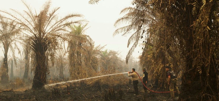 indonesia-battles-worst-forest-fires-and-toxic-haze-in-11-years
