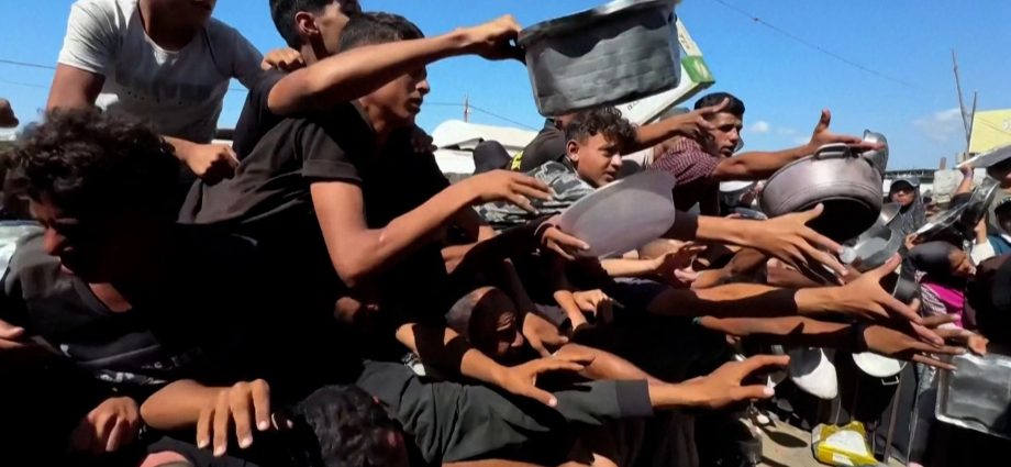gaza-faces-worsening-hunger-as-wfp-announces-food-aid-cuts