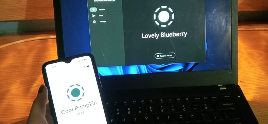 LocalSend: Send Files Between Linux, Windows, macOS, and Phones