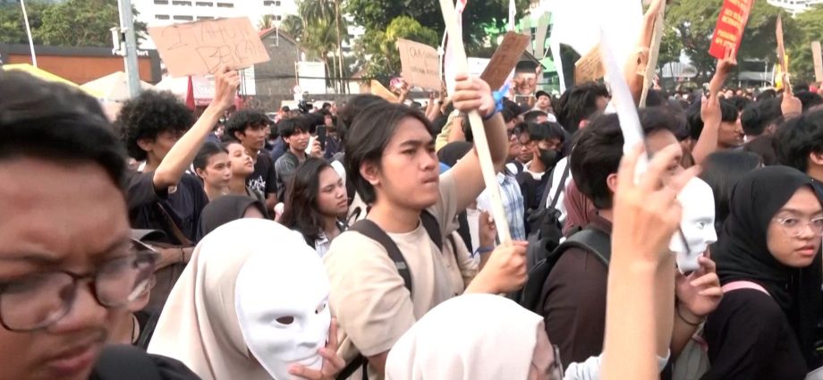 indonesians-protest-over-land-clearing-fires