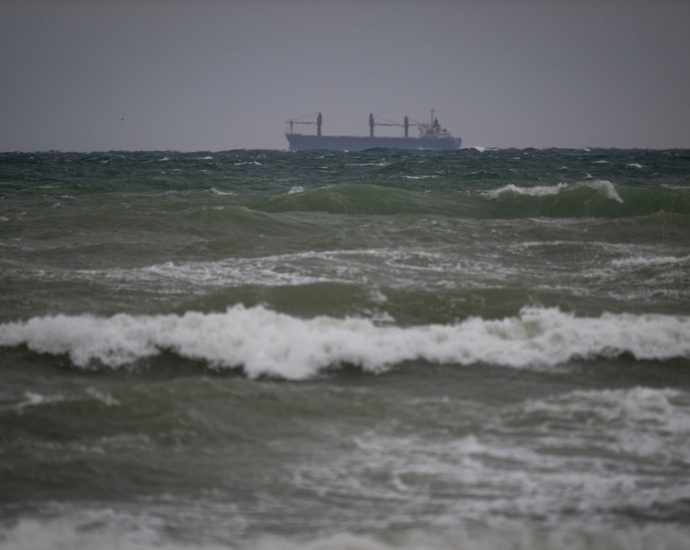 nato-to-send-additional-patrol-planes-to-black-sea-after-drone-attacks