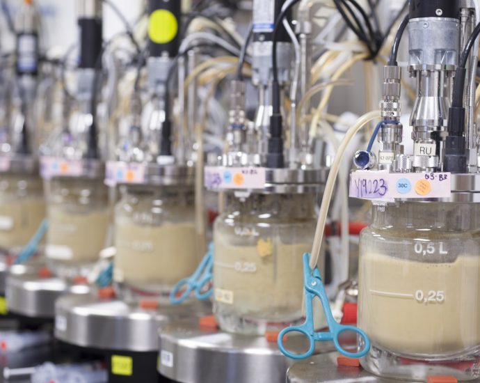 the-internet-is-furious-about-lab-grown-eggs.-here’s-what’s-actually-happening