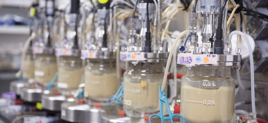 the-internet-is-furious-about-lab-grown-eggs.-here’s-what’s-actually-happening 