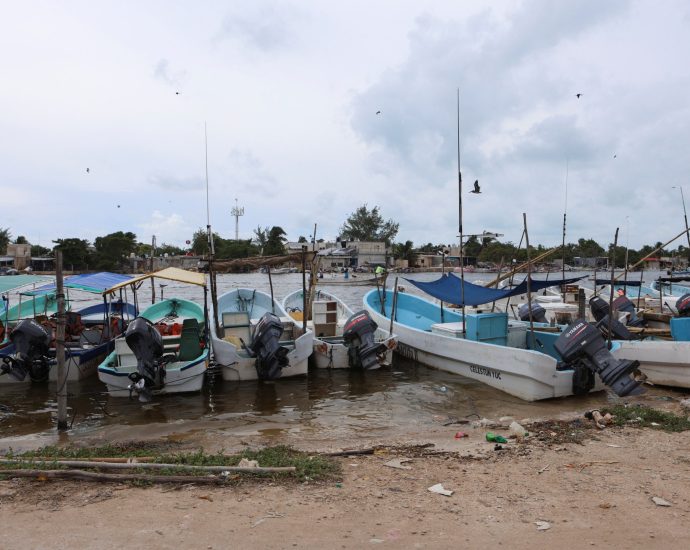 faecal-waste-pollutes-drinking-water-in-mexico’s-yucatan,-greenpeace-says
