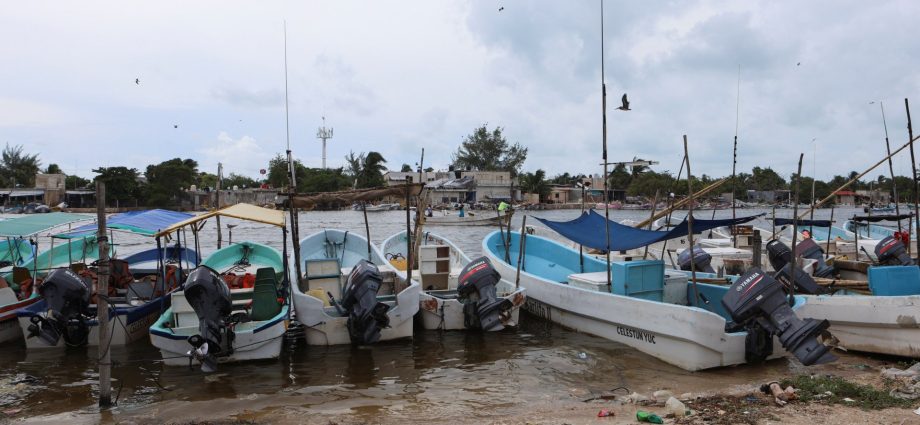 faecal-waste-pollutes-drinking-water-in-mexico’s-yucatan,-greenpeace-says