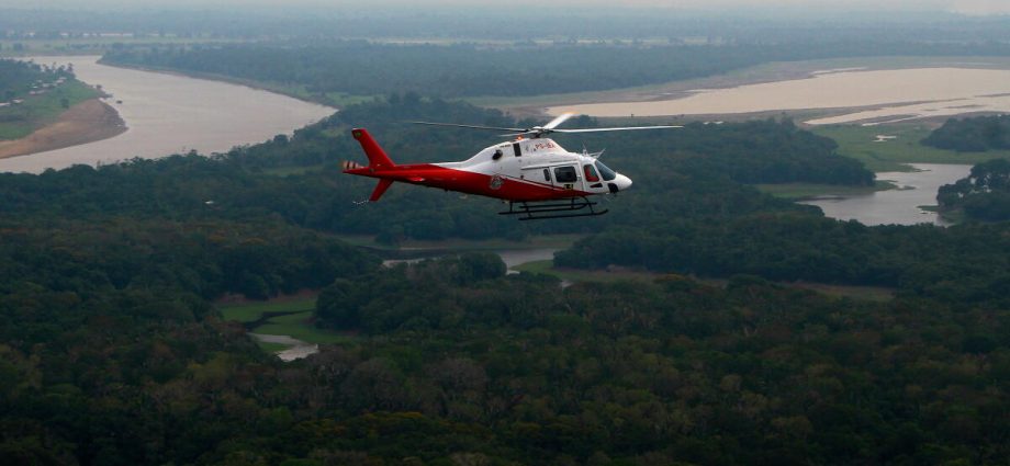 brazil-says-amazon-deforestation-fell-to-the-lowest-level-since-1988
