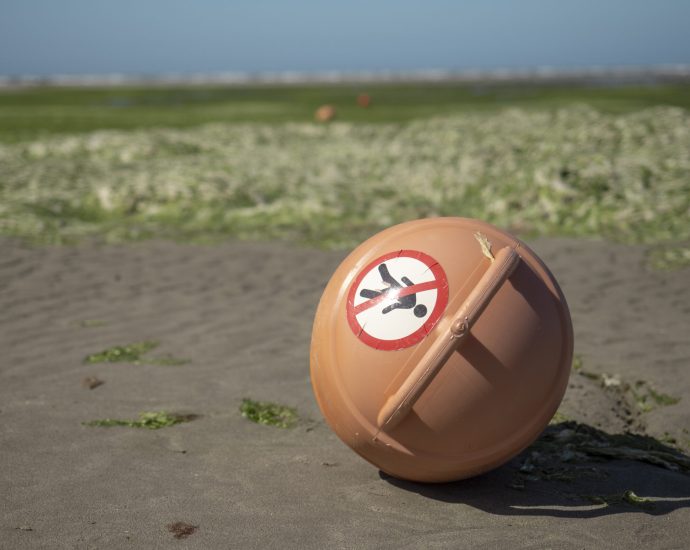 in-pictures:-‘armageddon’-at-europe’s-swim-spots-linked-to-climate-change-and-factory-farm-pollution
