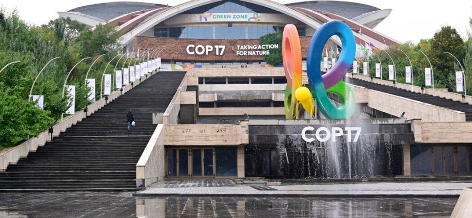 nations-meet-in-armenia-as-goal-to-protect-nature-remains-out-of-reach